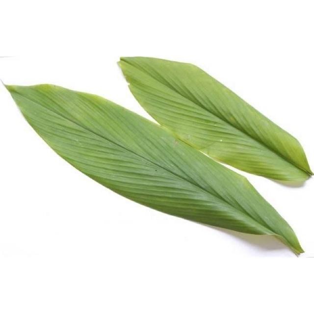 

Terlaris Daun Kunyit Segar Bumbu Masakan Rempah Hijau