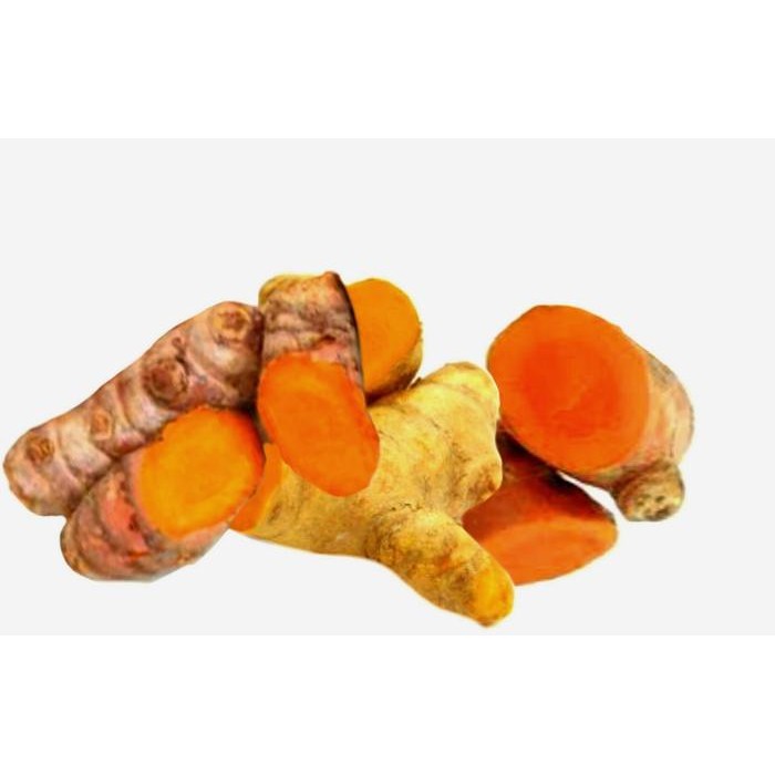 

Terlaris Kunyit Segar