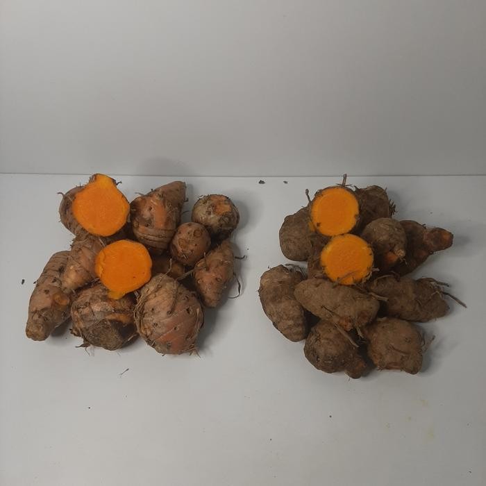 

Terlaris Biang Kunyit 1 Kg Asli Lokal