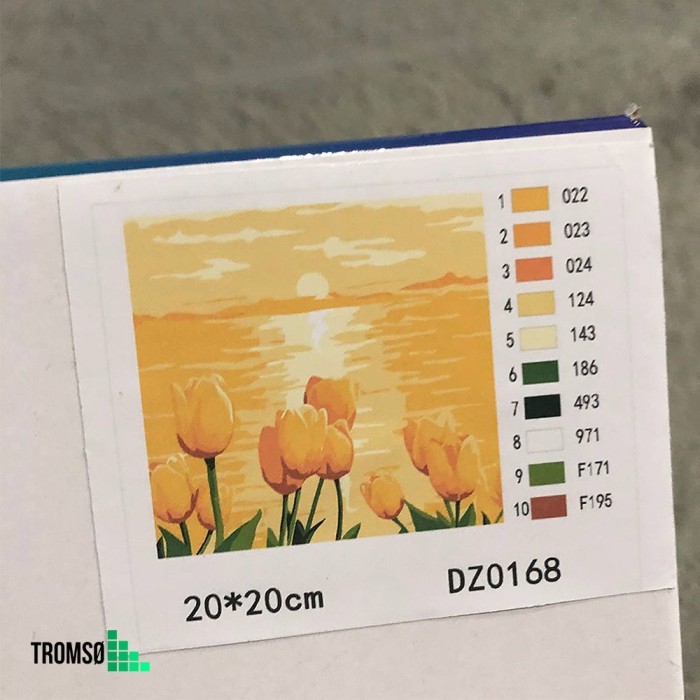

Tromso DIY Paint By Number KIT 20 X 20 / Alat Lukis Dan Kanvas (Painti