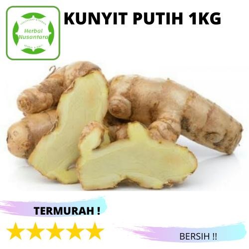 

Terlaris Kunyit Putih Segar Temu Kunir 1Kg Cucurma Zedoaria
