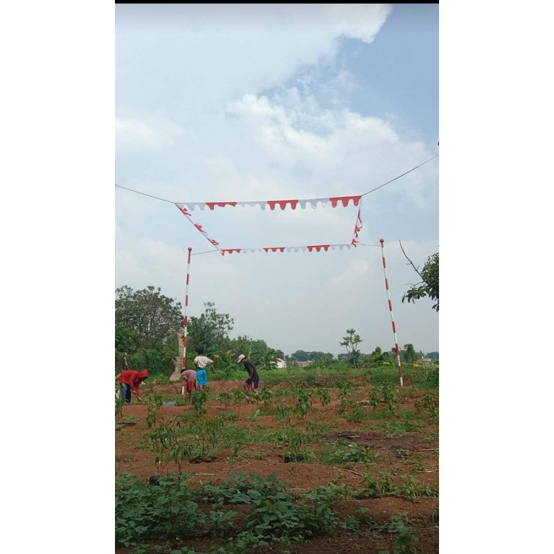 BENDERA KOLONG MERPATI FUL KOTAK( 36 M )dan( 24 M ) + Tali TINGGAL PASANG/BENDERA MERPATI KOLONG