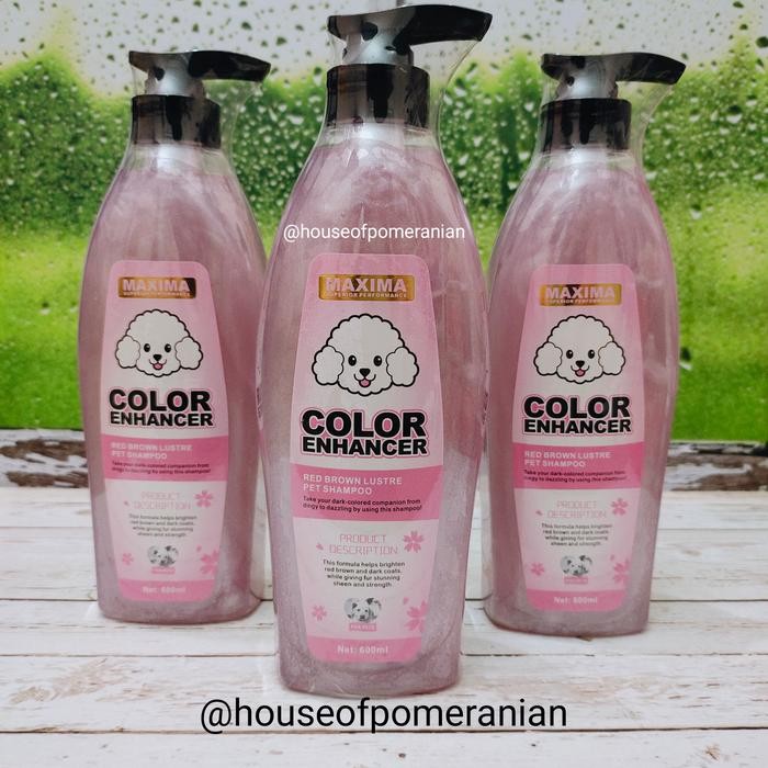 dog red brown shampoo organic red poodle 600ml anjing