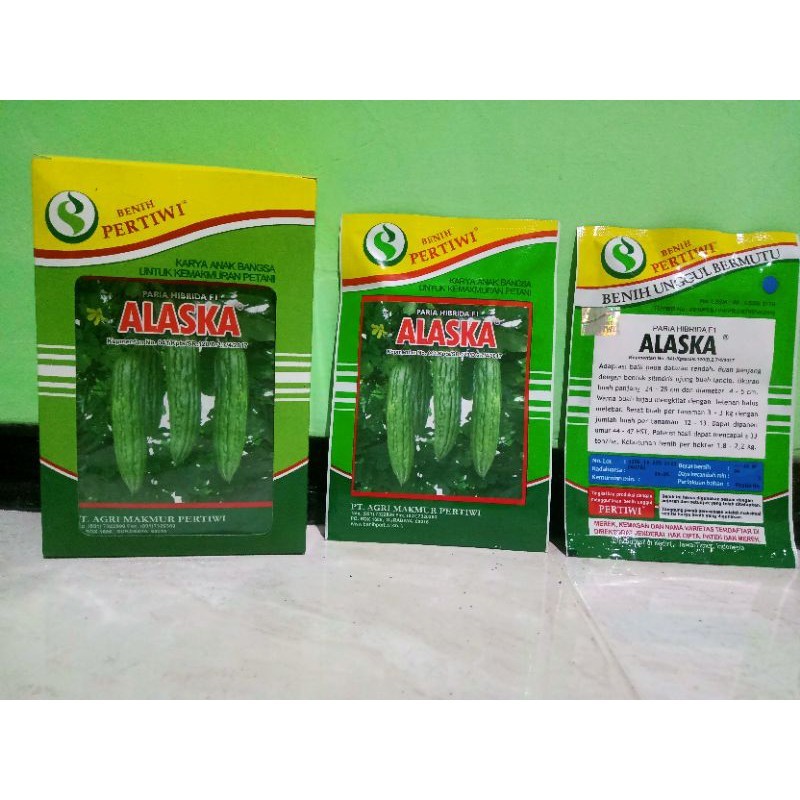 benih paria ALASKA F1 10 gram