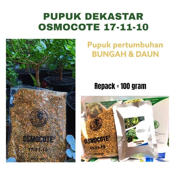 Pupuk dekastar pupuk bonsai pupuk angrek aglonema repak 100gr Tanaman Anggrek Kalium