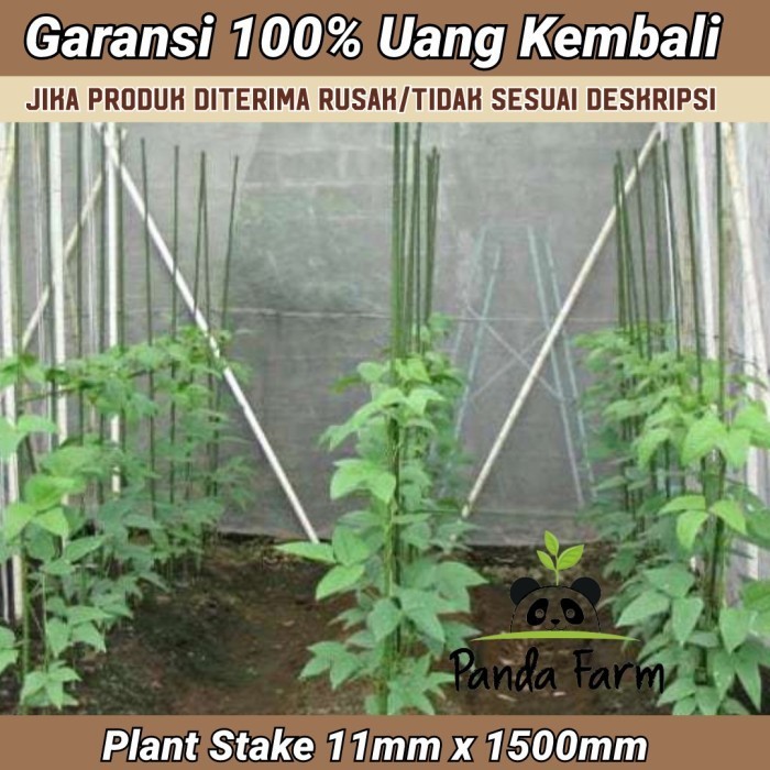 [Allthebest] Ajir / Penyangga Tanaman Takiron Plant Stake 11 x 1500 mm