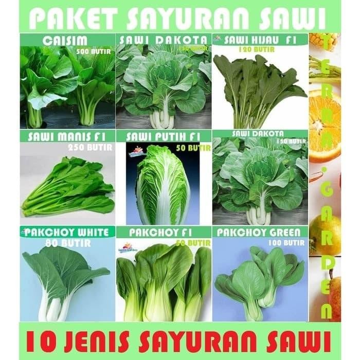 Bibit Benih Paket Sawi Caisim Sawi putuh sawi manis sawi dakota seeds Kode 1304