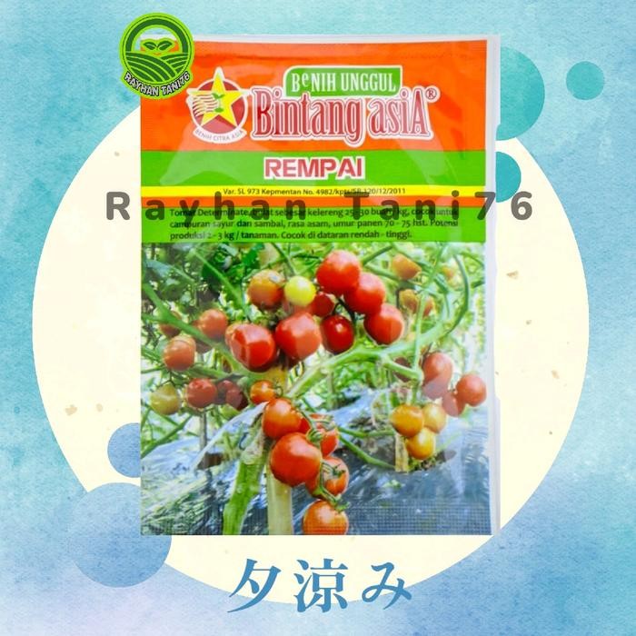 Benih Tomat Rampai Rempai 10 Gram - Bintang Asia Kode 569