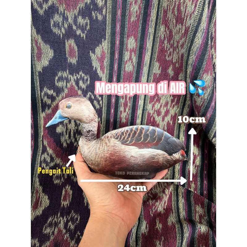 Jontrot Belibis Polos / Belibis Batu