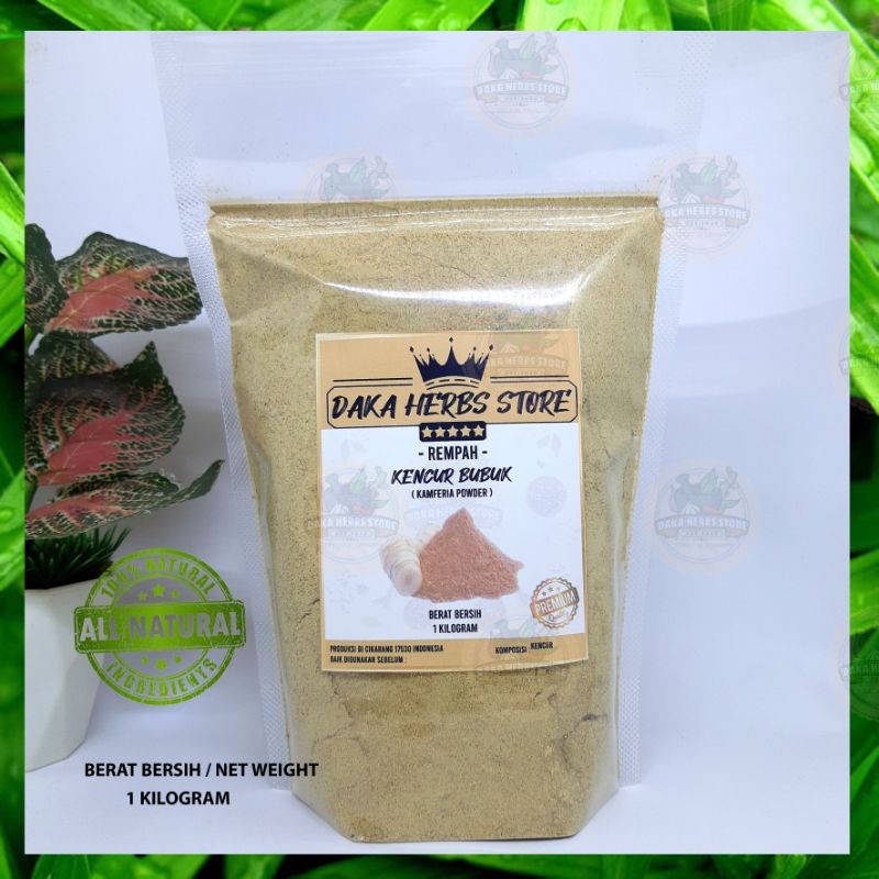 

Kencur Bubuk Murni Tanpa Campuran 1 Kg