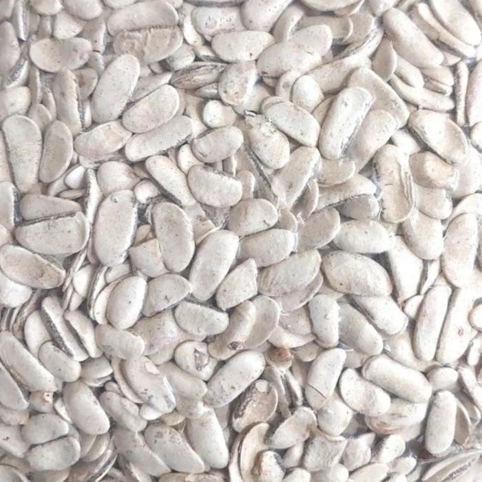 

TERMURAHH!! Biji Mahoni Kupas 500 gram - Biji Buah Mahoni Kupas