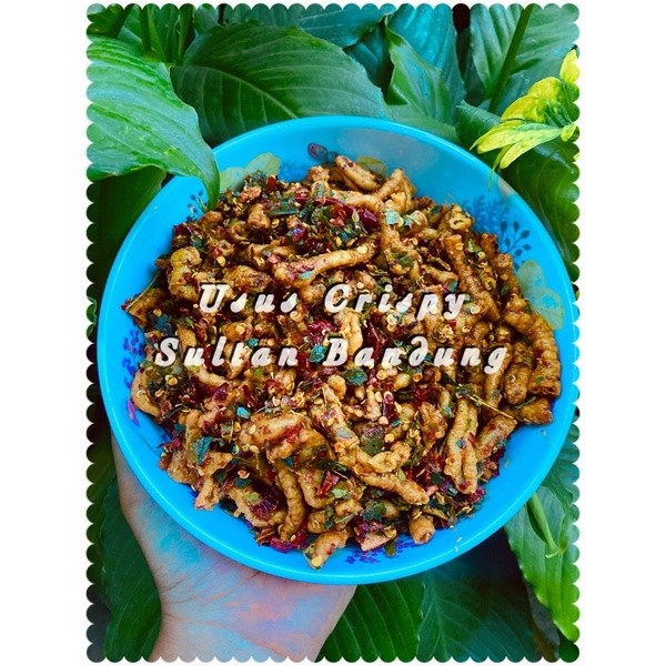 

Usus Crispy Sultan Bandung - 1KG WE!!