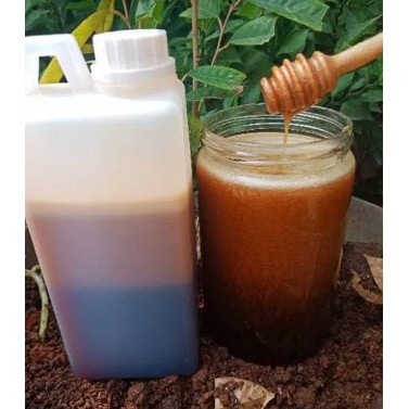 

Madu Asli (madu hutan sialang riau netto 1kg) 100% Madu murni madu murah madu jakarta madu annisa