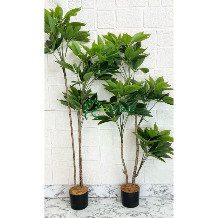Pohon Hias Tanaman Artificial Pohon Daun Manggis Variasi Tinggi 150 & 170 Pot Dasar Hiasan Dekorasi