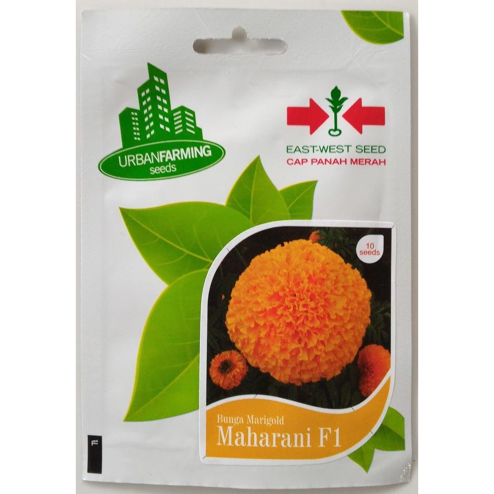 Ready Stock Benih Bunga Marigold Hibrida Maharani F1