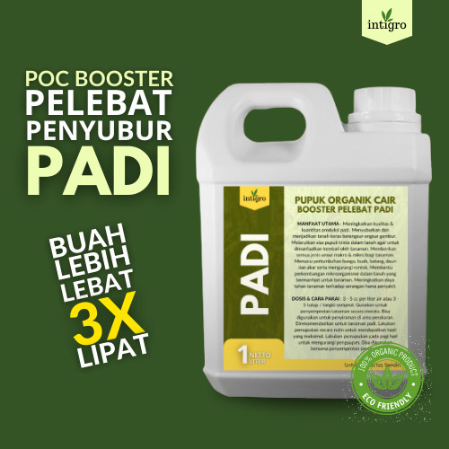 Pupuk Booster Padi / Pupuk Cair Padi / Pupuk Semprot Untuk Tanaman Dan Buah Padi / Pupuk Ajaib