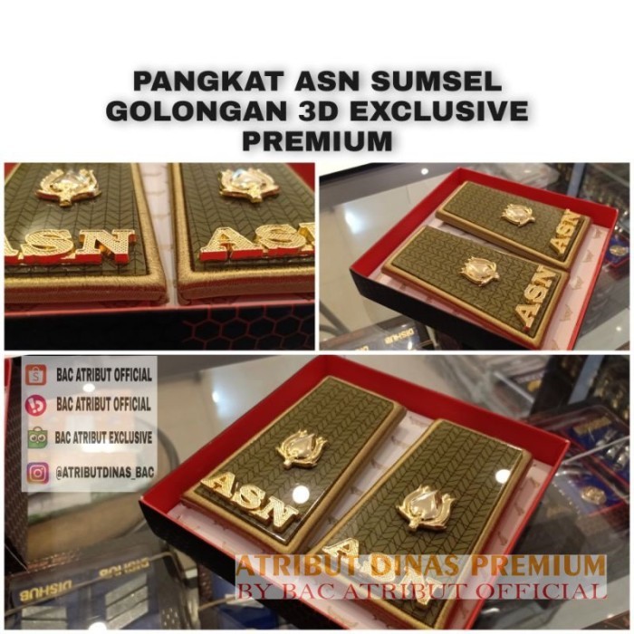 PREMIUM Pangkat Asn Sumsel Golongan 3d Premium