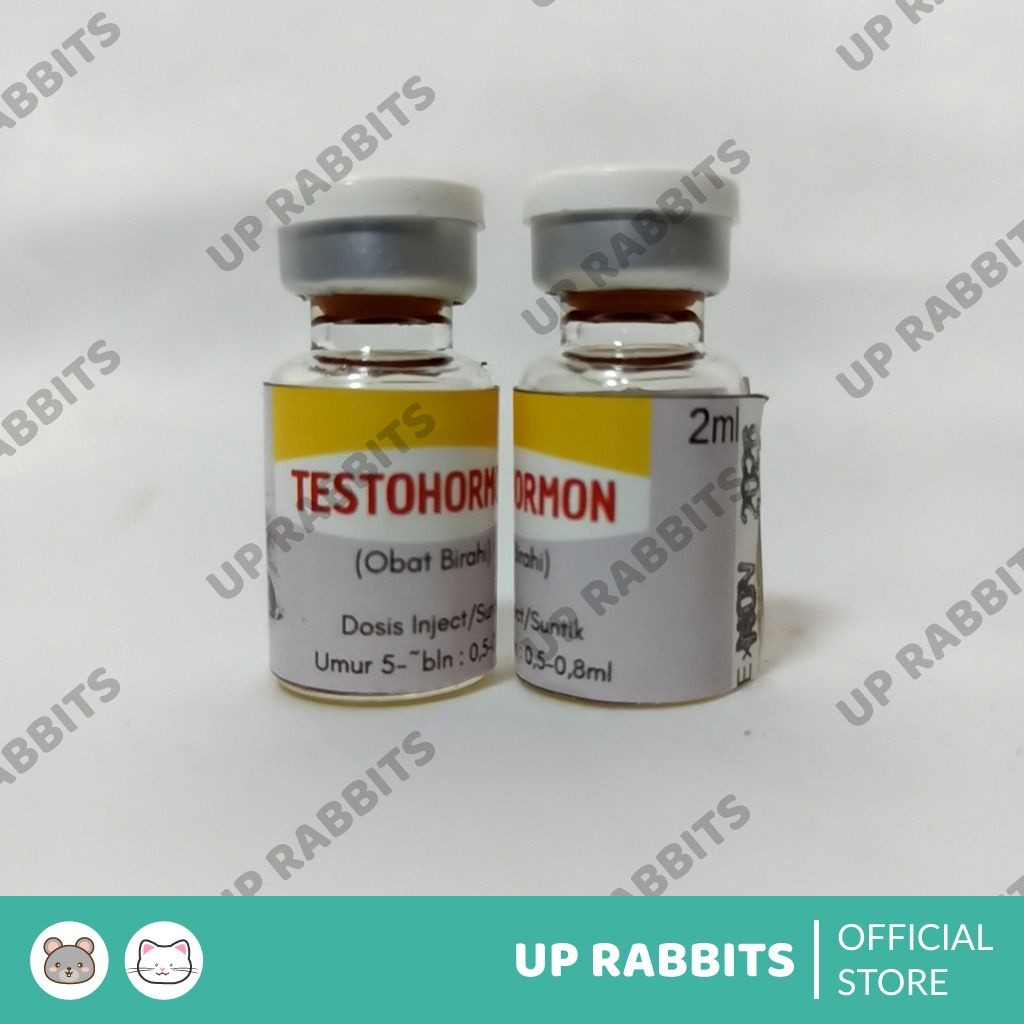 Testohormon Inject Hormon Tingkatkan Reproduksi Hewan Jantan