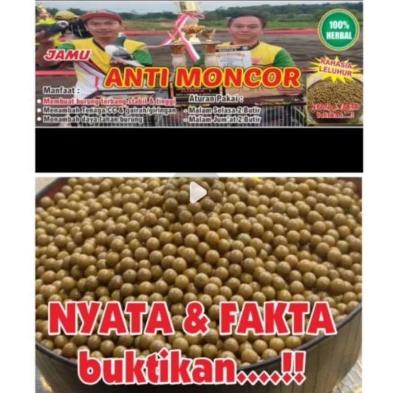 JAMU MONCOR JAMU MERPATI ANTI MONCOR JAMU MENAMBAH SPRIN ORIGINAL LBF