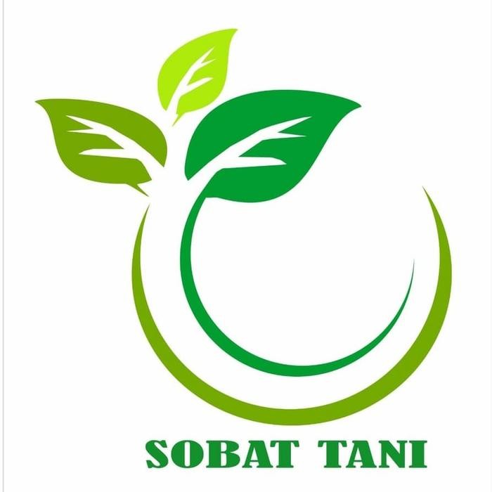 

Bibit Tanaman Buah Manggis