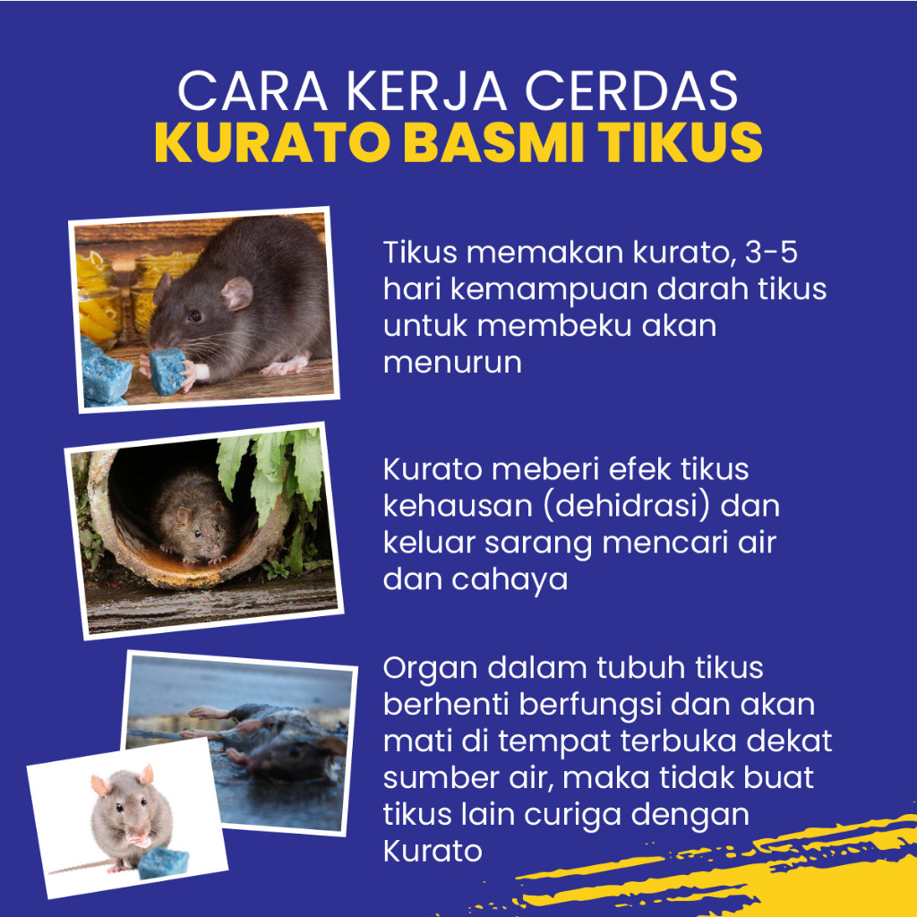 KURATO Original Racun Tikus Paling Ampuh Mati di Tempat Terang ASLI Hologram khusus KURATO INDONESIA