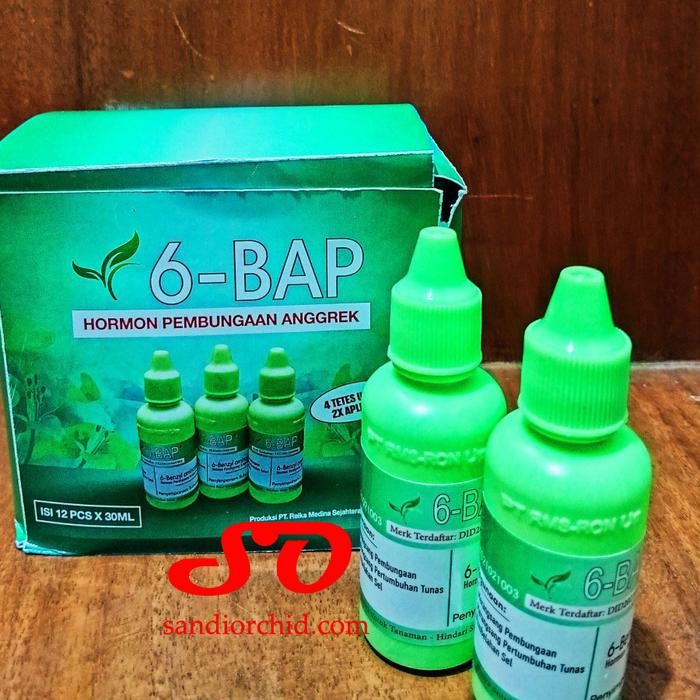 6-BAP 6 BAP 6 benzylaminopurin : Hormon Sitokinin Andal untuk Merangsang Spike dan Keiki Anggrek