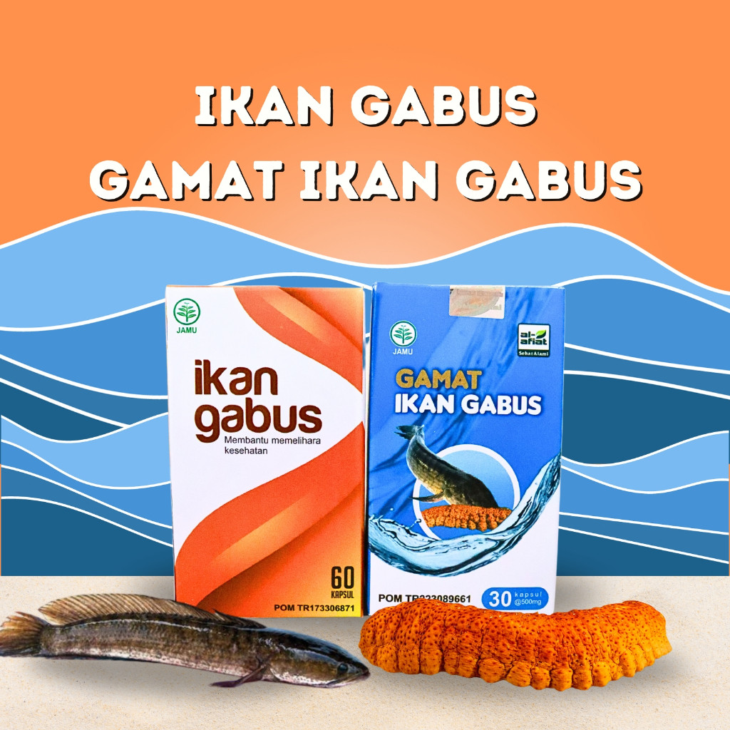 Kapsul Ikan Gabus 60 kapsul dan Gamat Ikan Gabus al afiat 30 kapsul