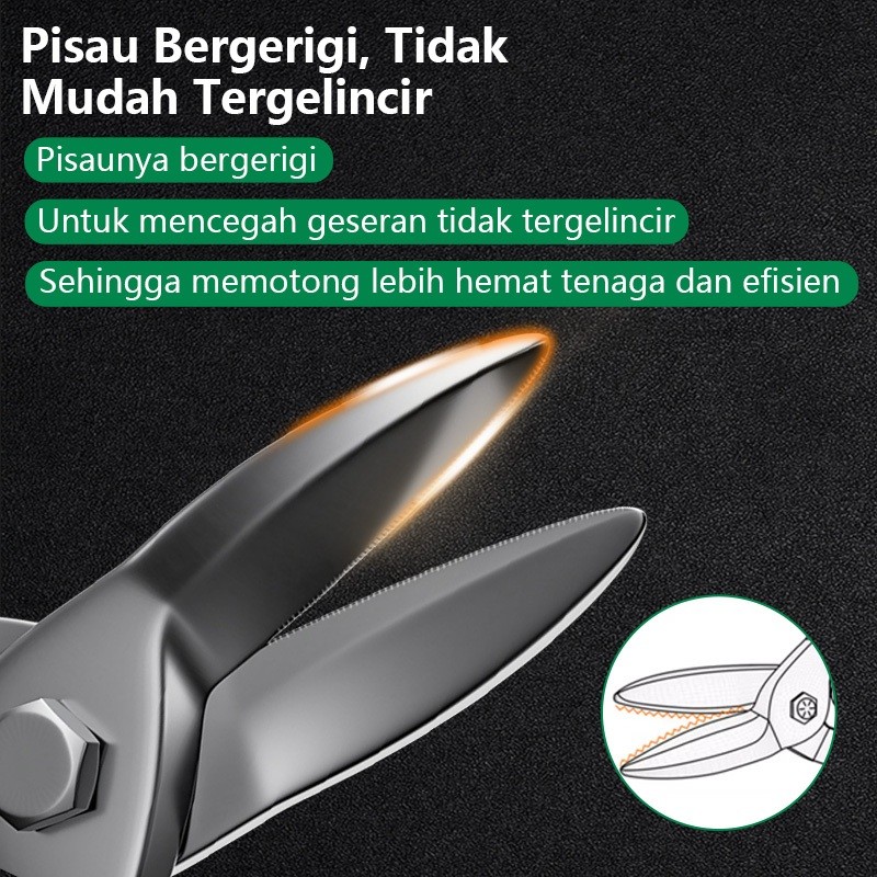 GUNTING BAJA RINGAN SERBAGUNA 10 INCH PANJANG 255MM/GUNTING HOLO GUNTING BAJA RINGAN TAJAM 10 INCH