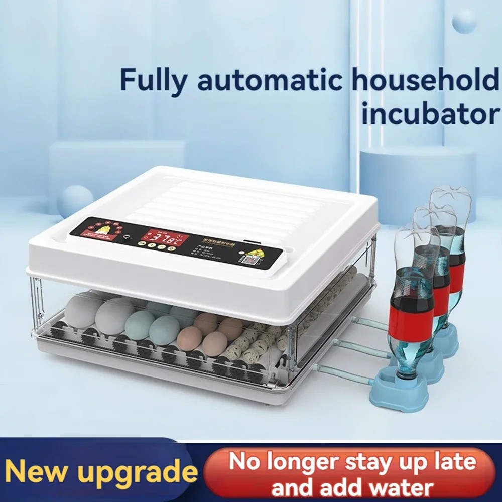 Automatic Dual Power Small Incubator Fully Rudin Chicken Egg Incubator Portable Holding Warming Mach