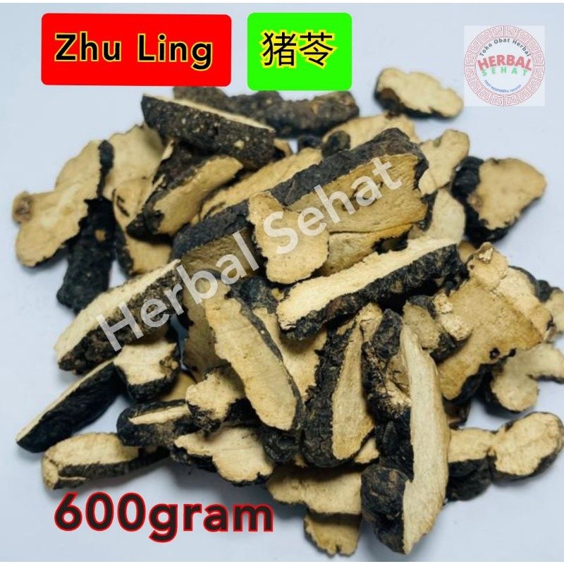 

600gram Zhu Ling - [ ] - Sclerotium Polypori Umbellati 600gram [PREMIUM]