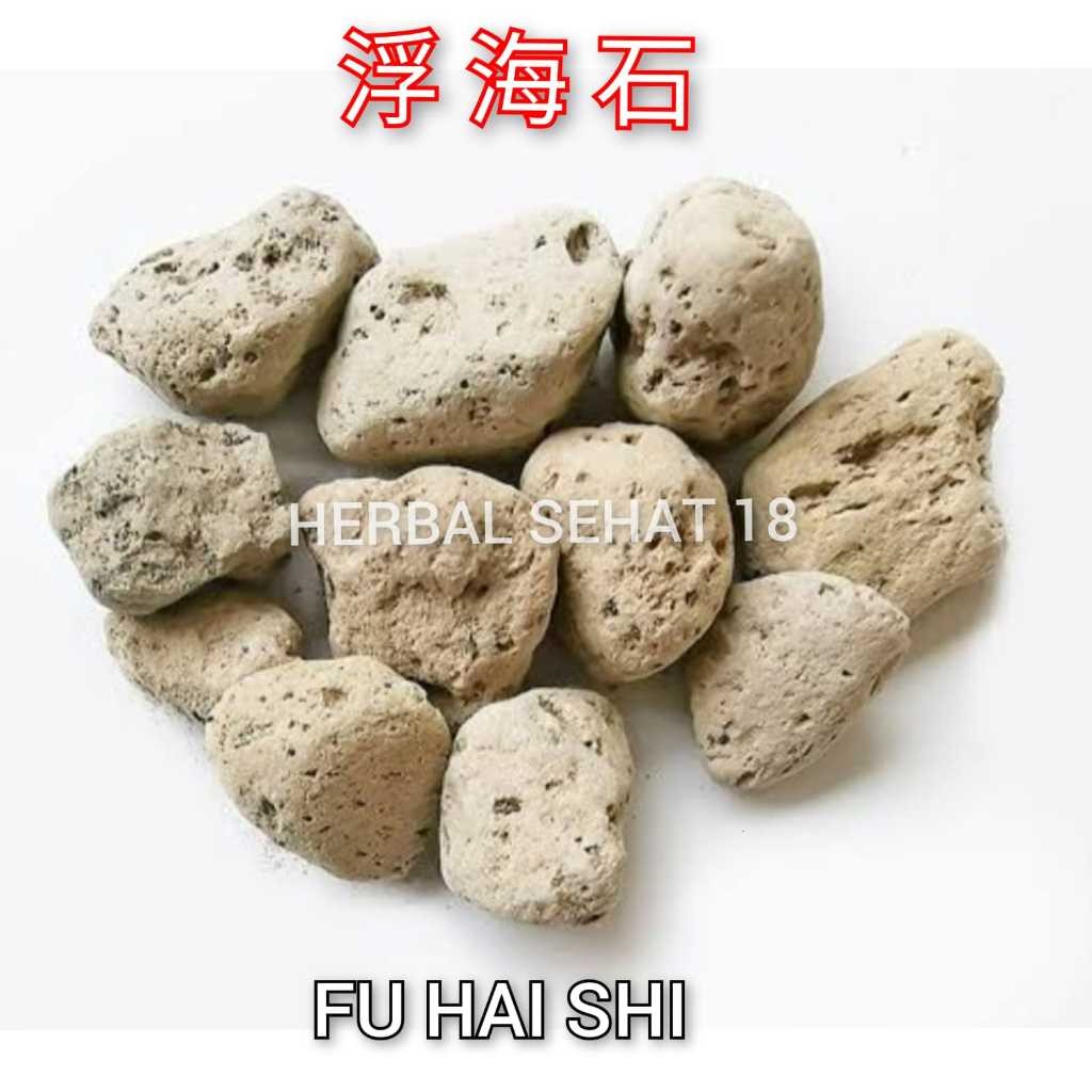

Fu Hai Shi Herbal - Batu Apung - Few Hoi Shak [PREMIUM]