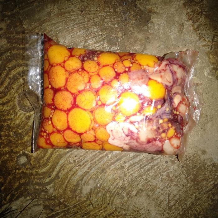 PREMIUM umpan mancing galatama lele telur telor bulus labi Lure Pancing