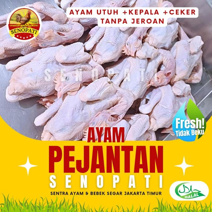 

Ayam Pejantan Utuh Karkas Fresh Senopati