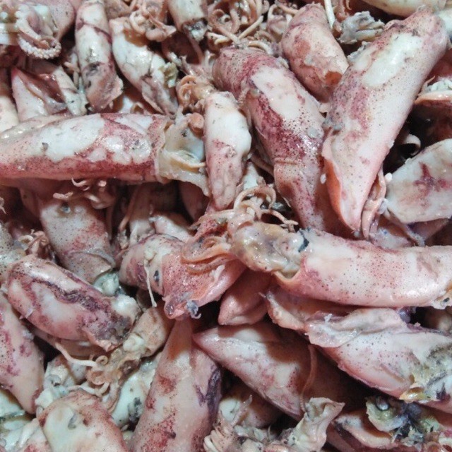 

SANS Ikan cumi asin 250gram khusus gojek/grab