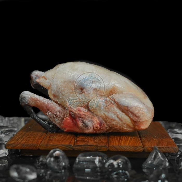 

Ayam Kampung Asli Utuh 1,1 - 1,3 Kg