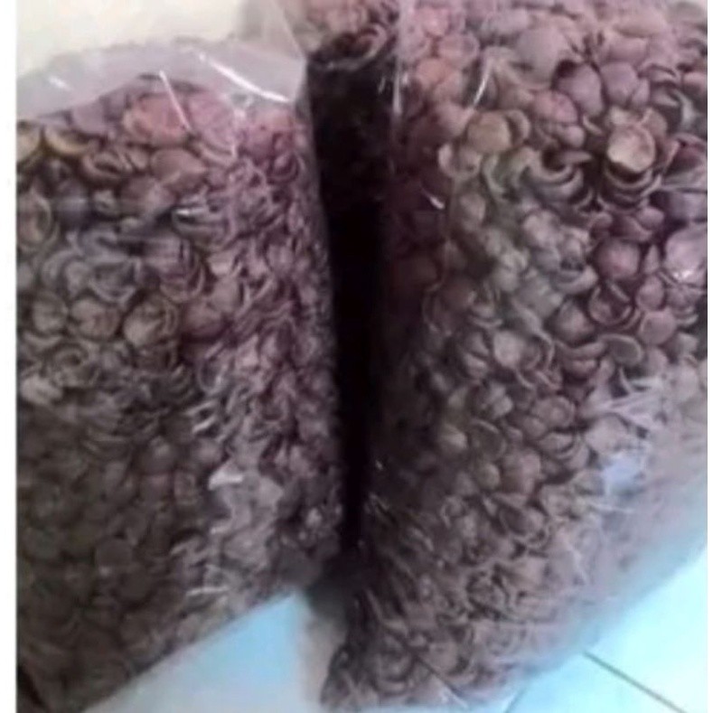 

RATU Coco Crunch Coklat 1kg