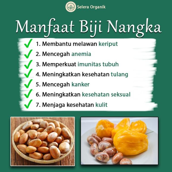 

YOUBBYSHOP TEPUNG BIJI NANGKA KEMASAN 1KG SUDAH HALAL MUI SELERA ORGANIK