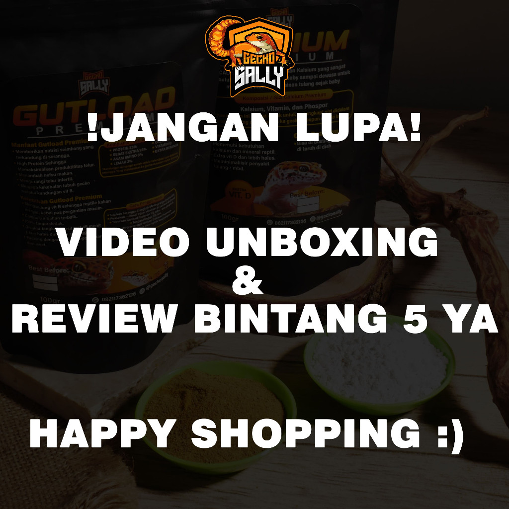 RB22 Mainan Anak Leopard Gecko Dewasa Random / GECKOSALLY