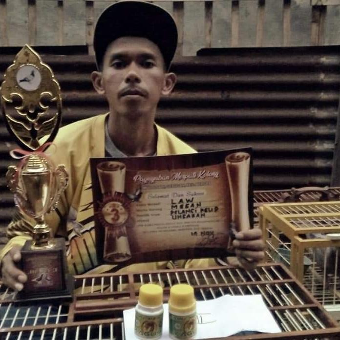 Yok Di Co. Jamu Kagumi Jamu Merpati Kagumi Suplemen Merpati Doping Merpati