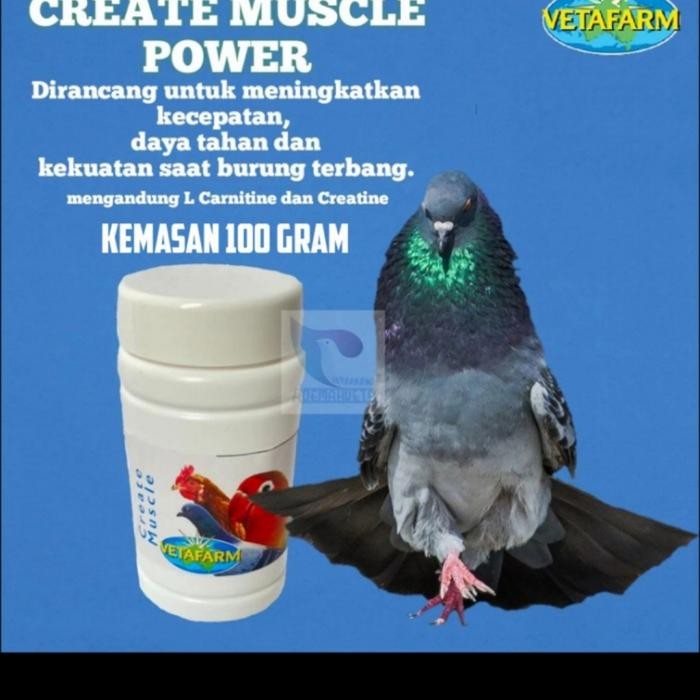 Ready.. Create Muscle 100Ml Vetafarm