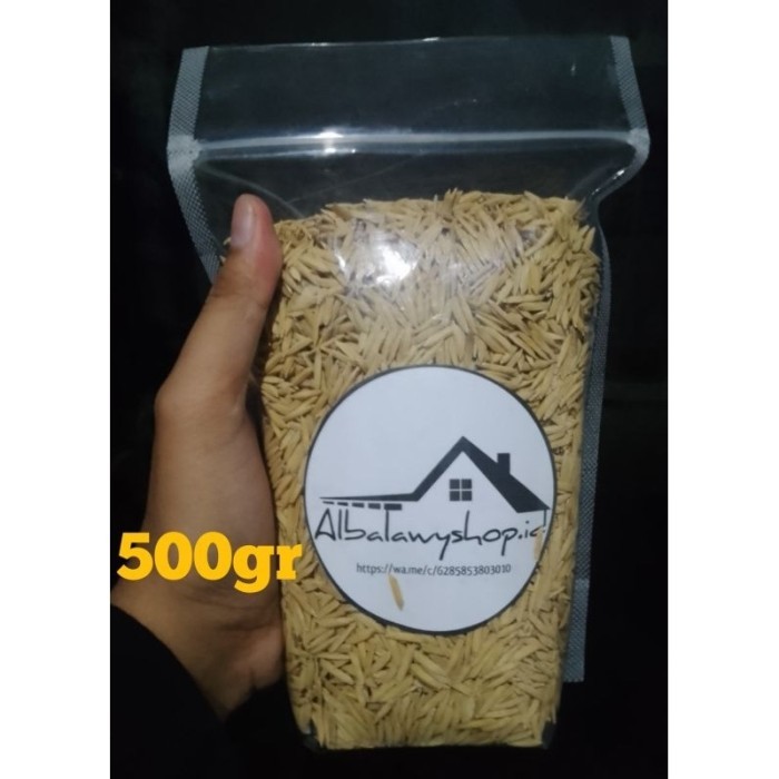  BENIH PADI BASMATI 1KG (BASMATI/BAROMA 1121)