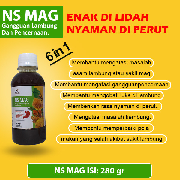 PROMO Obat Asam , GERD, Mag atau Maag, Saluran Pencernaan ISI 250 GR NS MAG NUSHA