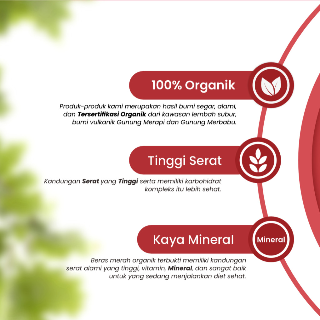 

Terlaris! Beras Organik 1Kg WellFarm Beras Organik 1Pcs