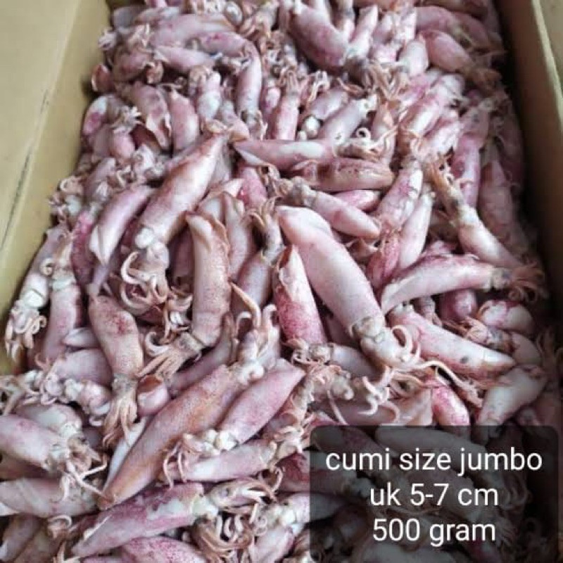 

Terlaris! cumi asin jombo/cumi asin rebus size jumbo