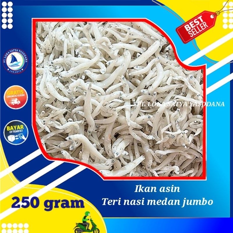 

Terlaris! ikan asin Teri nasi medan jumbo 250gram