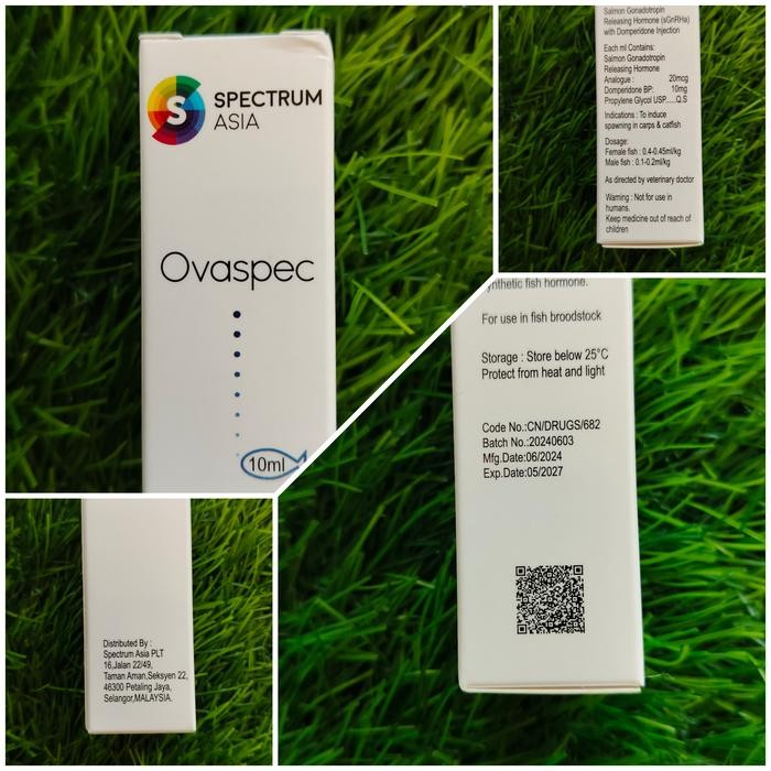 HORMON IKAN OVASPEC