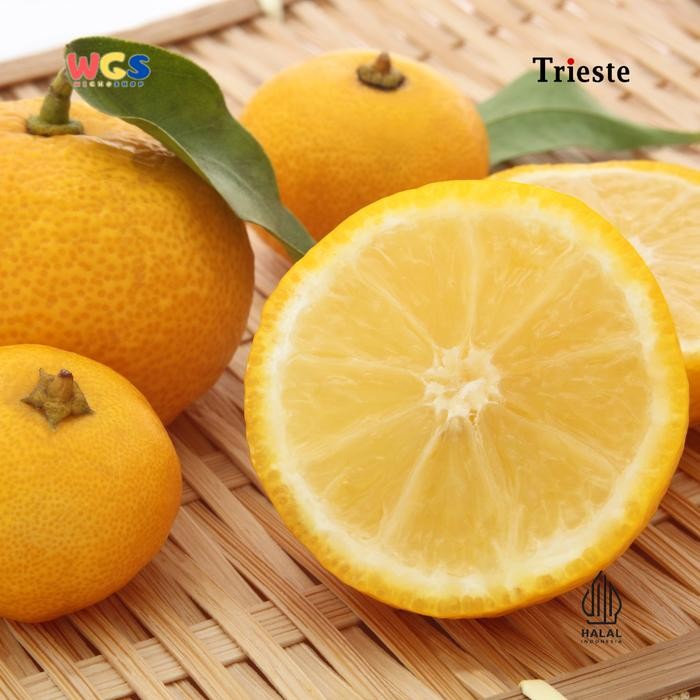 

Tjia Wu - Trieste Syrup Premium Yuzu Flavour 650Ml Sirup Rasa Citrus Untuk Minuman & Dessert Segar