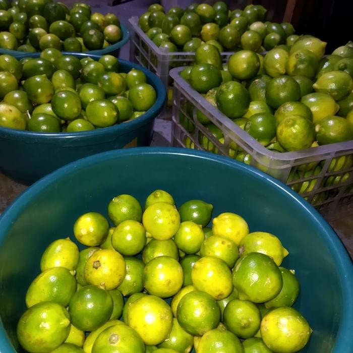 

Tjia Wu - Lemonte Sari Lemon Fresh 1 Liter