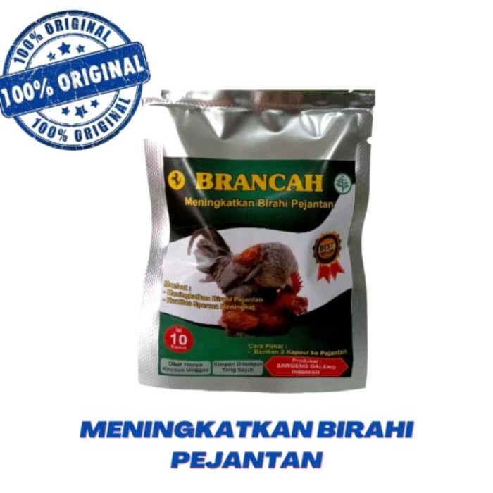 BRANCAH SAWOENG GALENG SACHET MENINGKATKAN BIRAHI AYAM JANTAN KAWIN