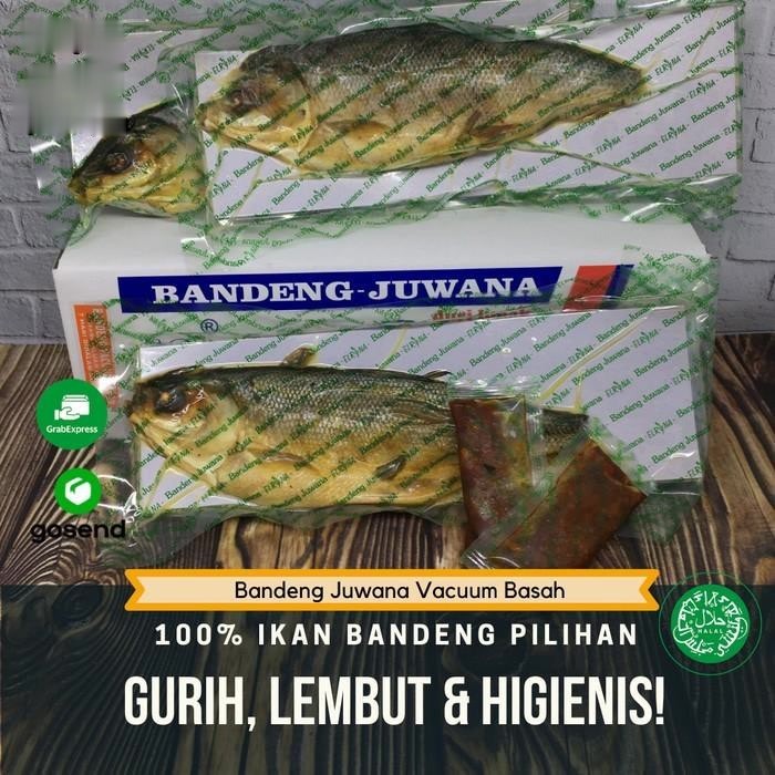 

Bandeng Presto Juwana Elrina Vacuum Basah (1 ekor) asli Khas Semarang